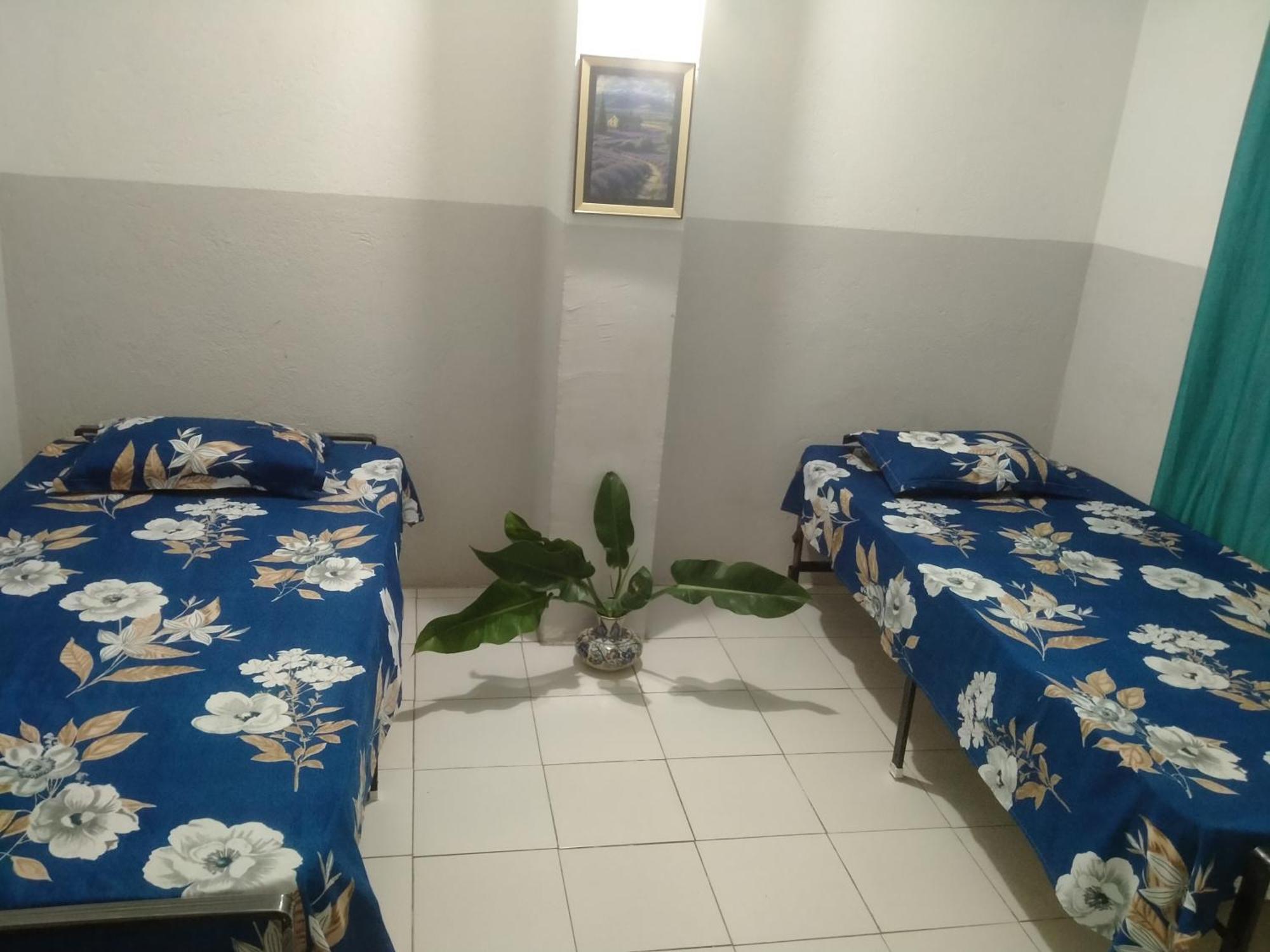 Hotel Traveler House Dimāpur Exterior foto